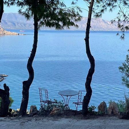 Pines & Sea Villa Sofiko Dış mekan fotoğraf