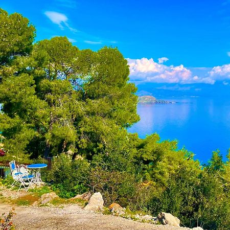 Pines & Sea Villa Sofiko Dış mekan fotoğraf