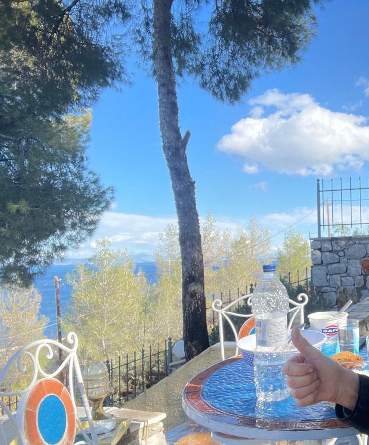 Pines & Sea Villa Sofiko Dış mekan fotoğraf