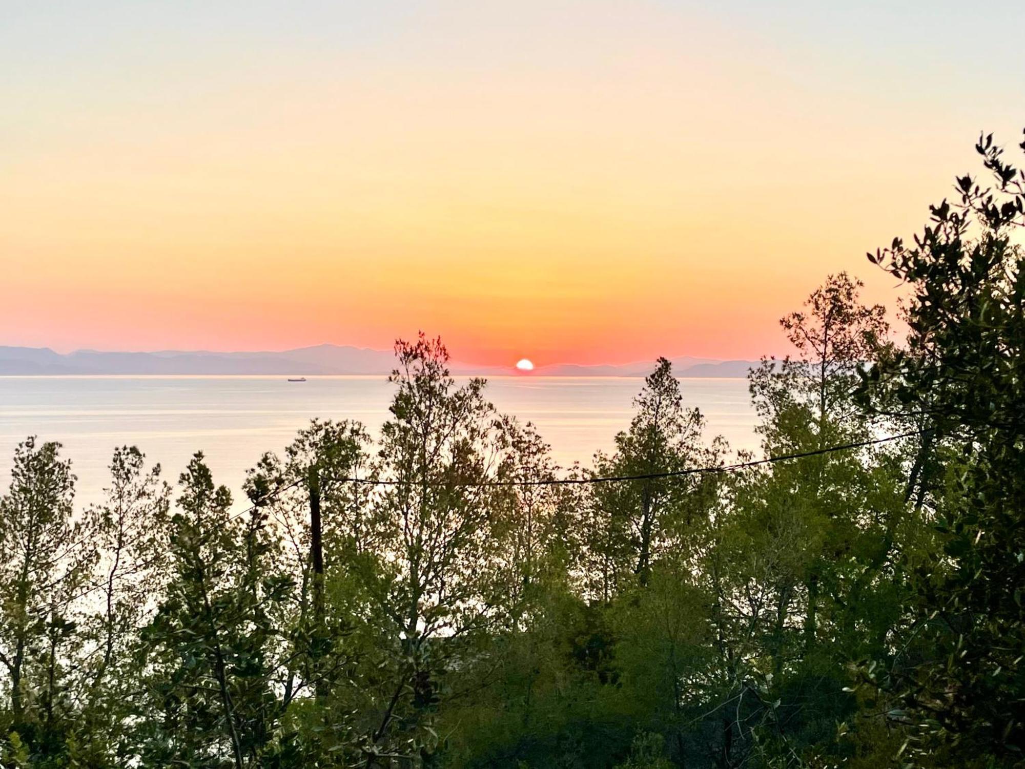 Pines & Sea Villa Sofiko Dış mekan fotoğraf