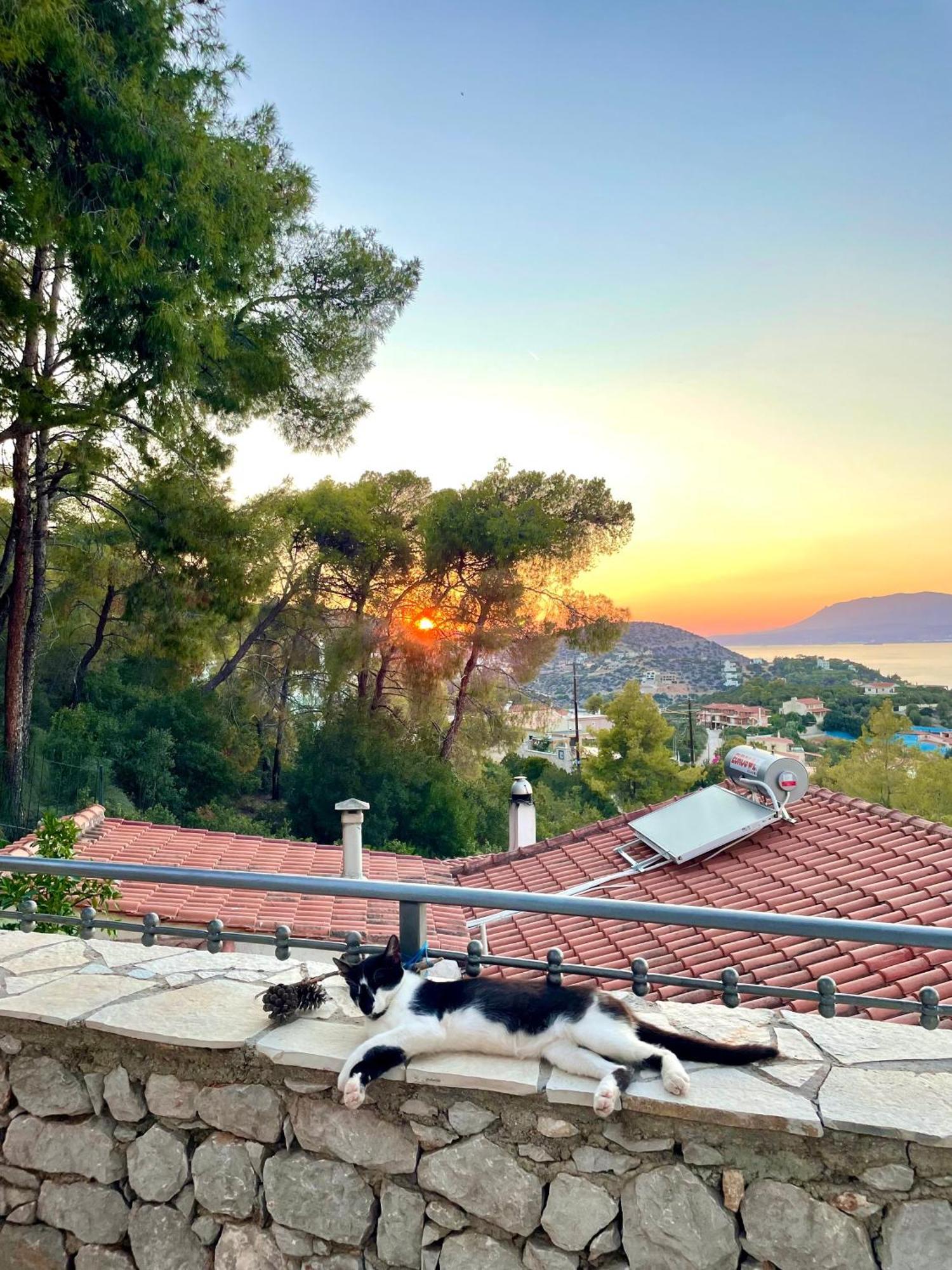 Pines & Sea Villa Sofiko Dış mekan fotoğraf